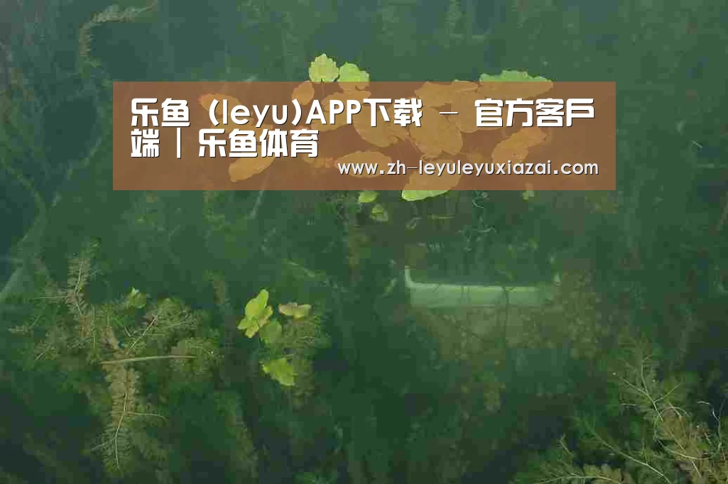 案例展示三(图1)