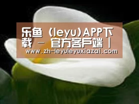 产品名称七