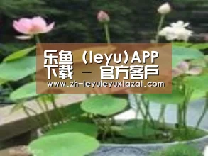 产品名称一