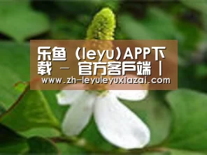 产品名称三