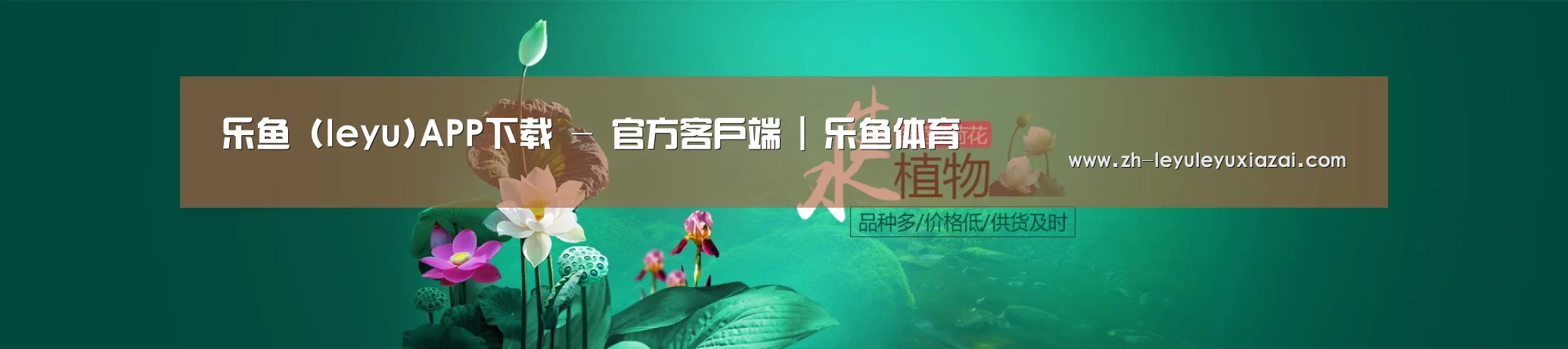 鲜花水草花卉网站模板