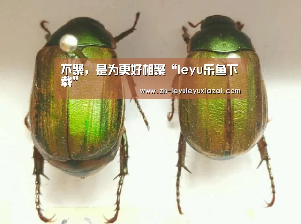 不聚,是为更好相聚“leyu乐鱼下载”(图3) leyu乐鱼下载
