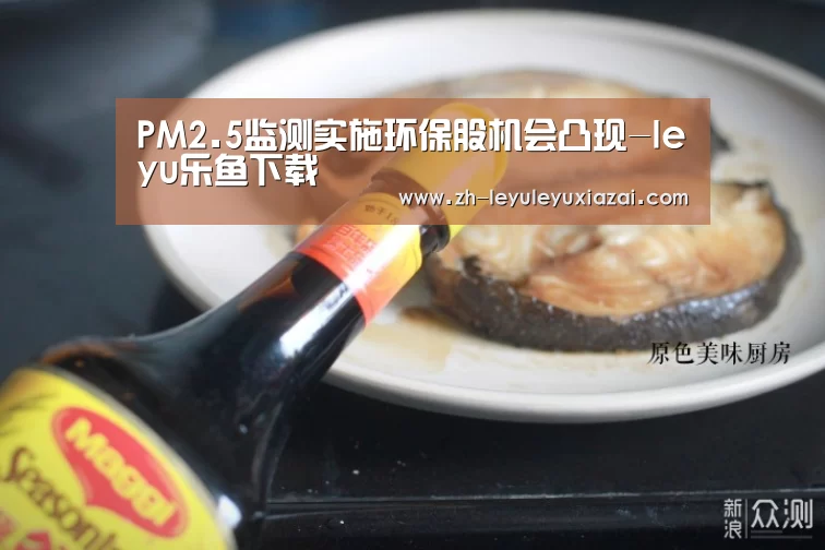 PM2.5监测实施环保股机会凸现-leyu乐鱼下载(图1) leyu乐鱼下载