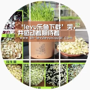 ‘leyu乐鱼下载’哭,并感动着期待着(图4) leyu乐鱼下载